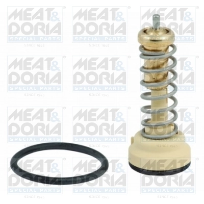 Thermostat, coolant